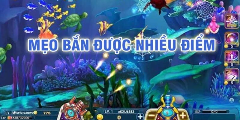 hit clup đá gà