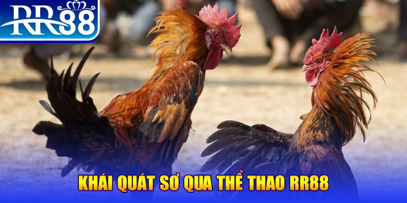 hit clup baccarat bịp như thế nào