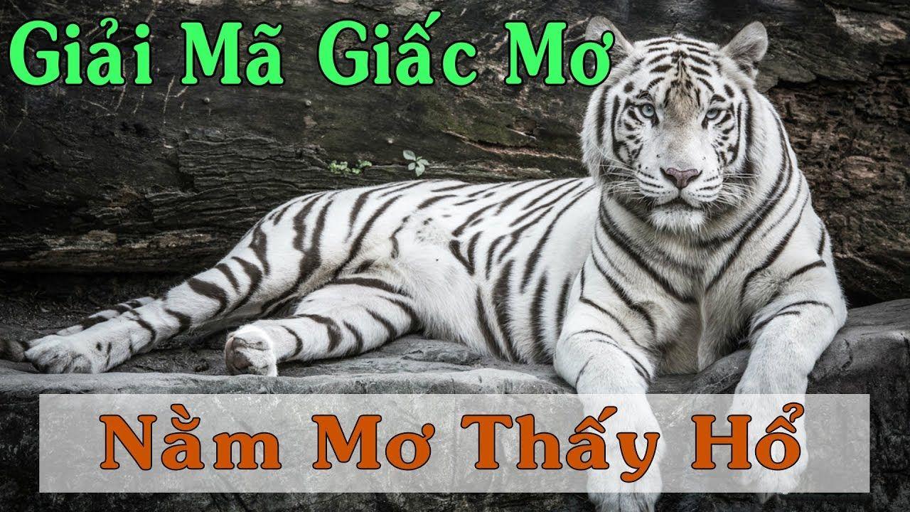 hit clup xổ số miền trung