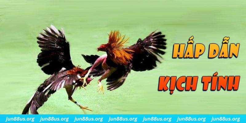 hit clup bắn cá long vương