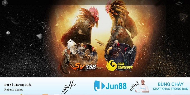 hit clup xổ số miền nam hàng tuần