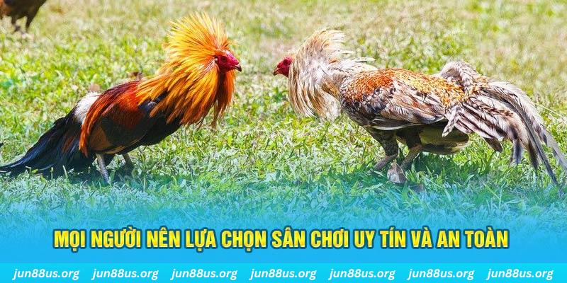 hit clup hơn cả bạn bè
