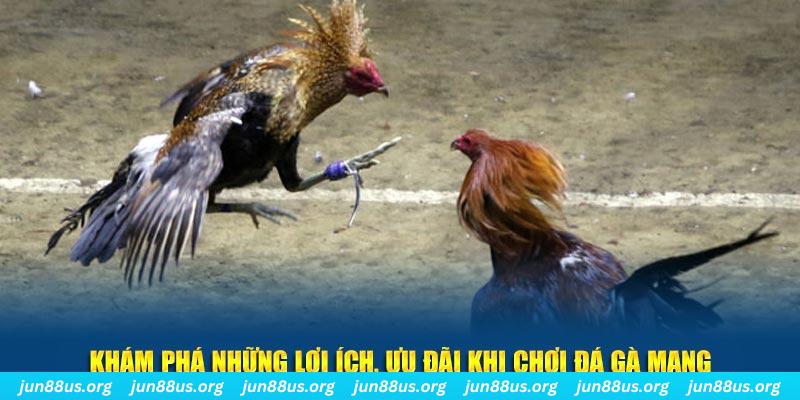 hit clup Tài Xỉu 2