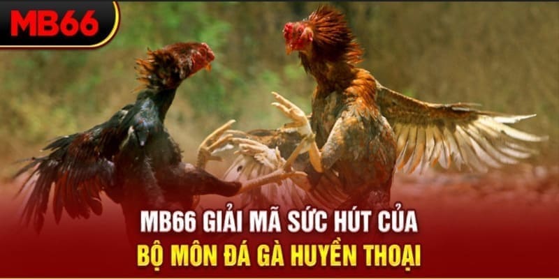 hit clup long bảo trong baccarat là gì