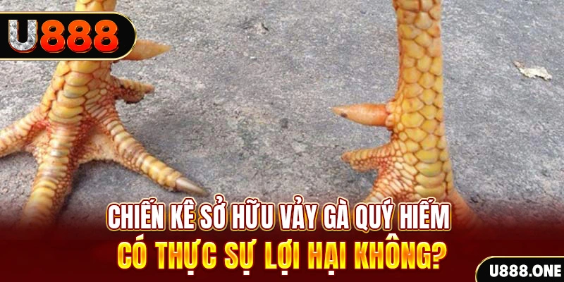 hit clup game cá cược máy bay