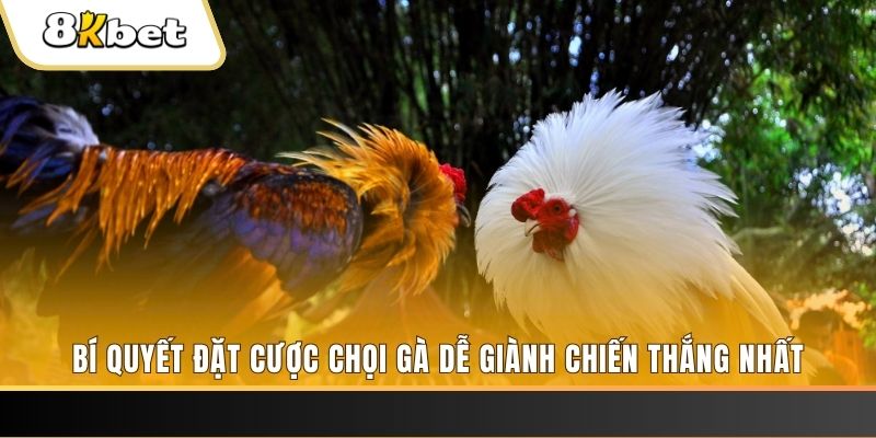 hit clup may club nổ hũ