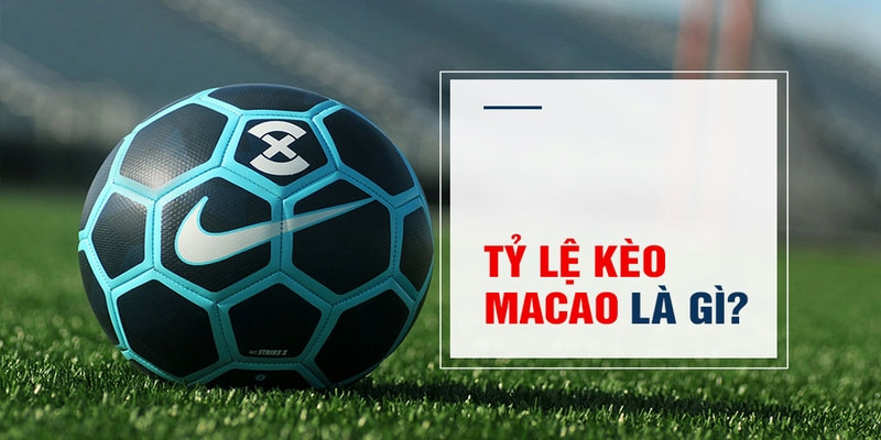 hit clup Trăm Knorr