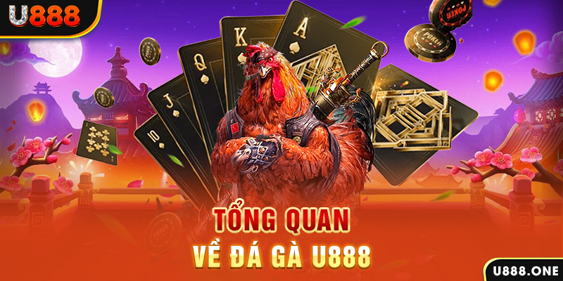 hit clup what is casino bonus wagering